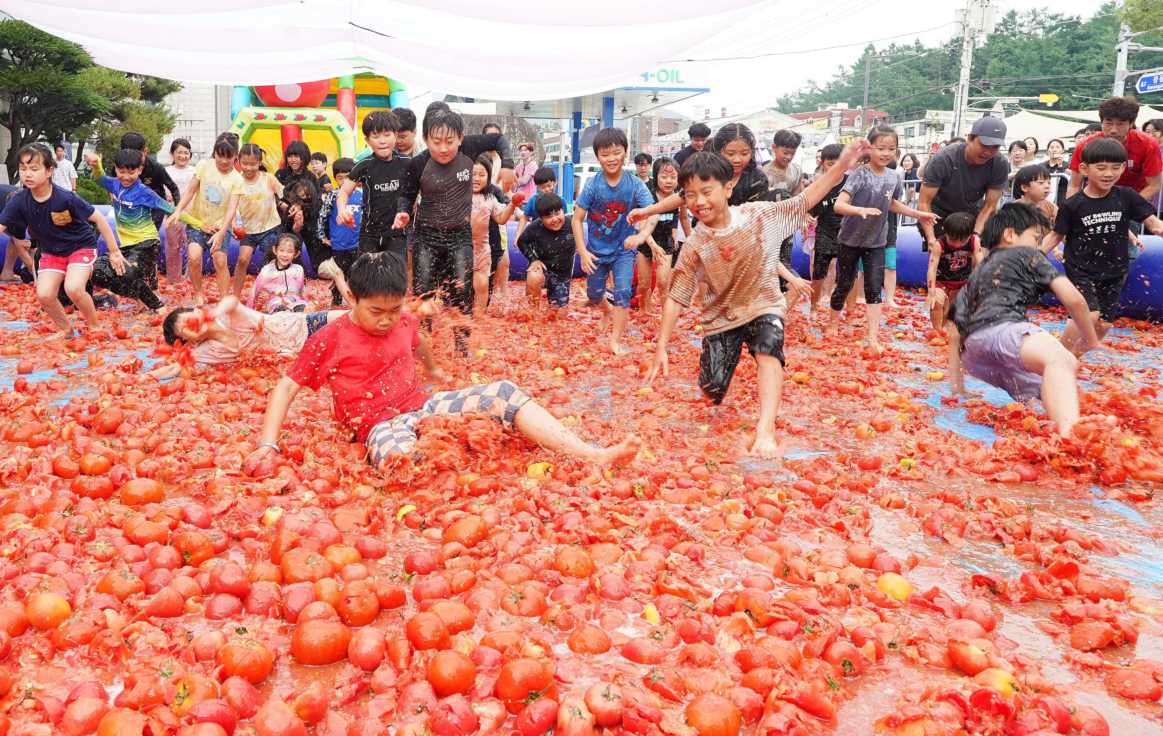 제23회 퇴촌토마토거리축제 사진모음