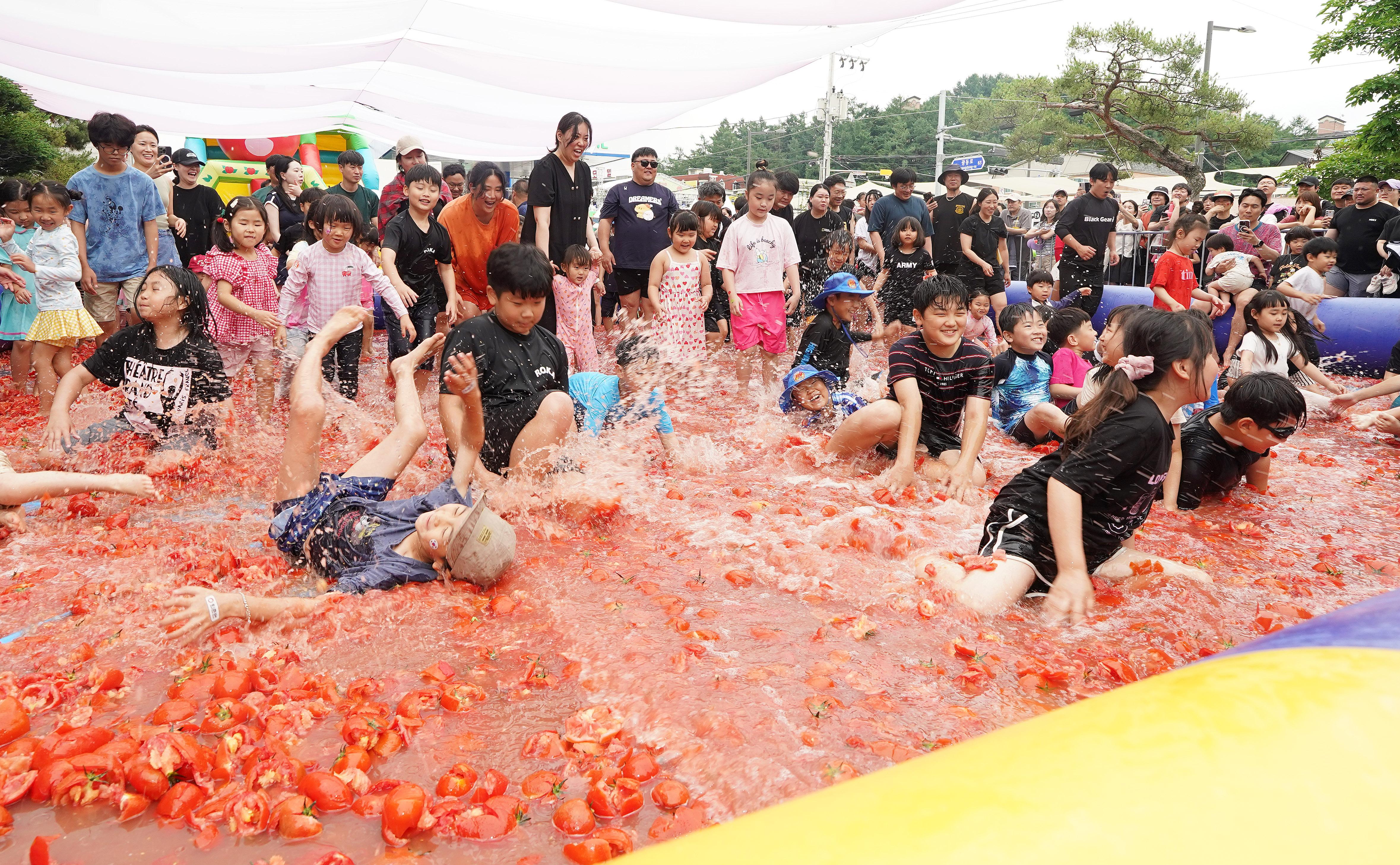 제23회 퇴촌토마토거리축제 사진모음