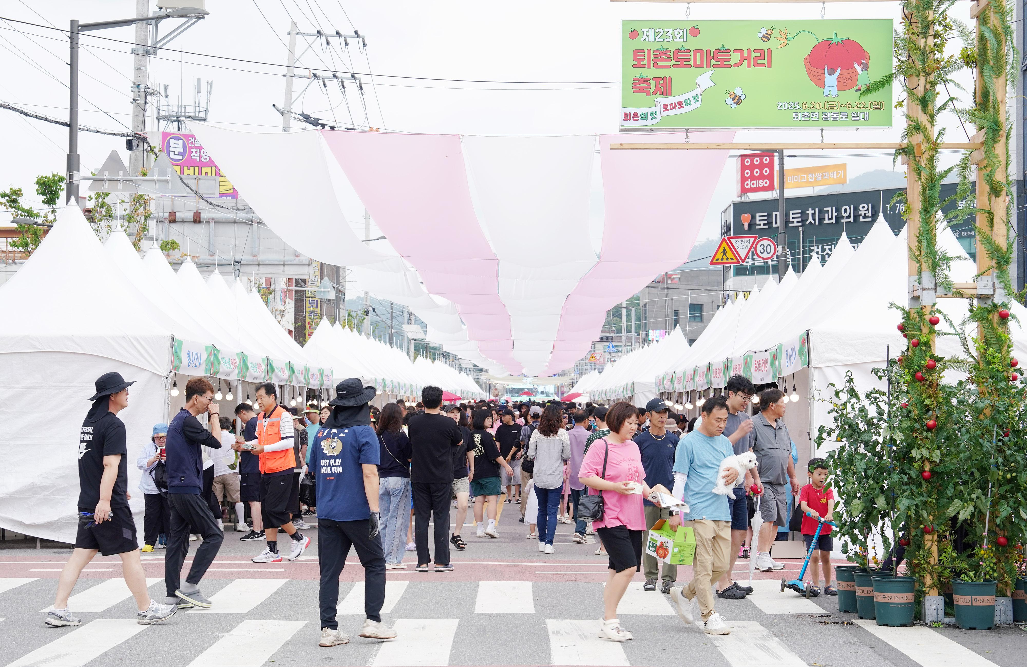 제23회 퇴촌토마토거리축제 사진모음