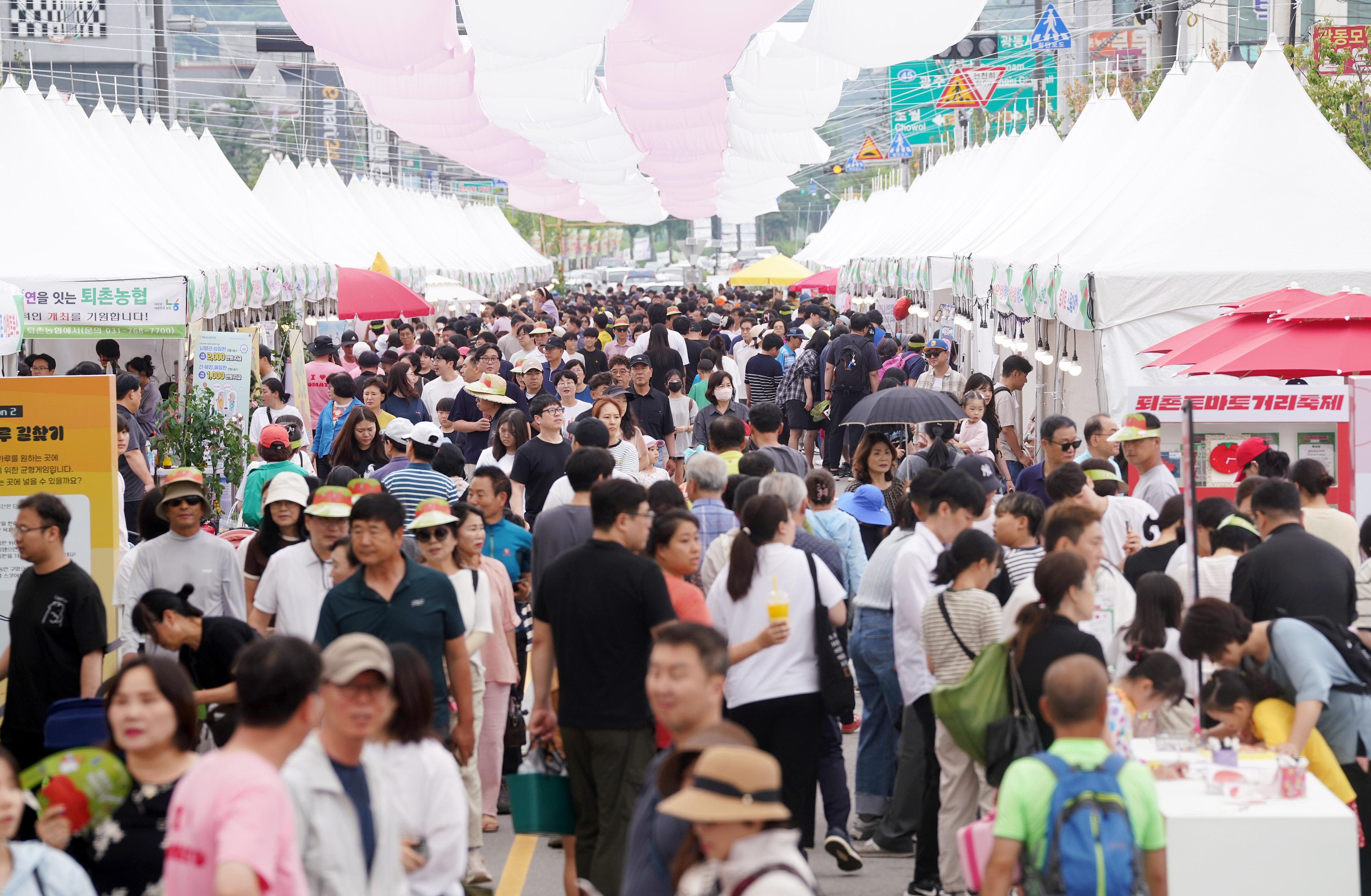 제23회 퇴촌토마토거리축제 사진모음