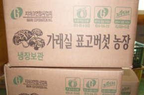 표고버섯 04