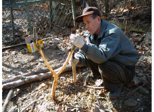 솟대 깎는 모습