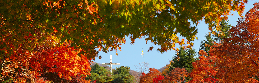 앵자봉과 천진암 전경3