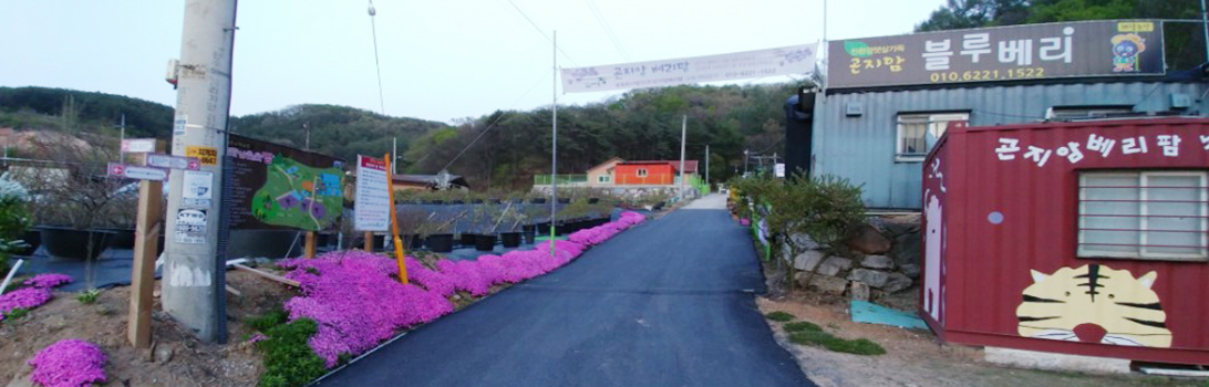 곤지암베리팜 전경1