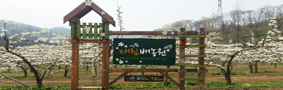 대림배농원 전경1