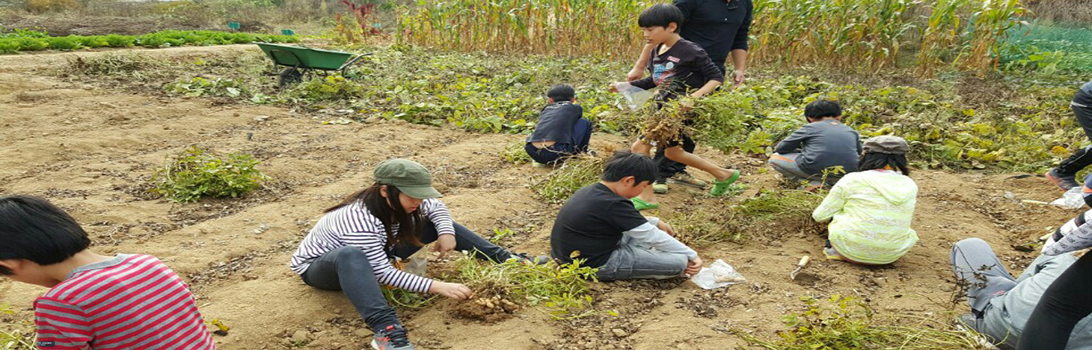 대림배농원 전경9