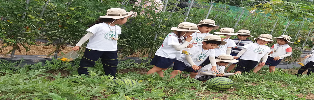 유정뜰농원 전경1